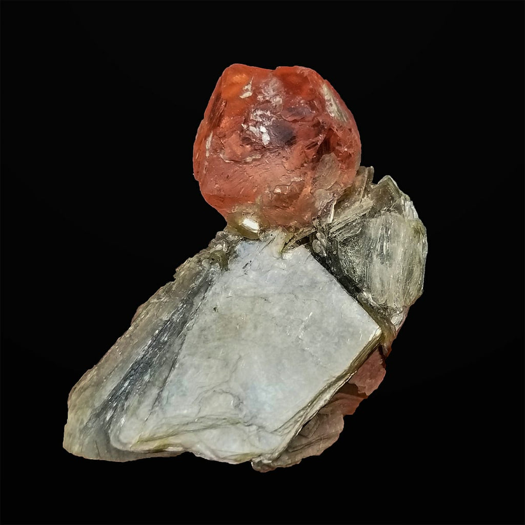 Gemmy Pink Fluorite Perched on Muscovite dark background at Gandhaa Fine Minerals