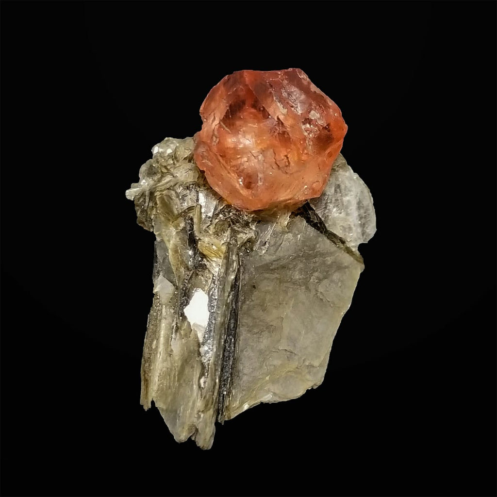  Pink Fluorite Perched on Muscovite black background at Gandhara Fine Minerals