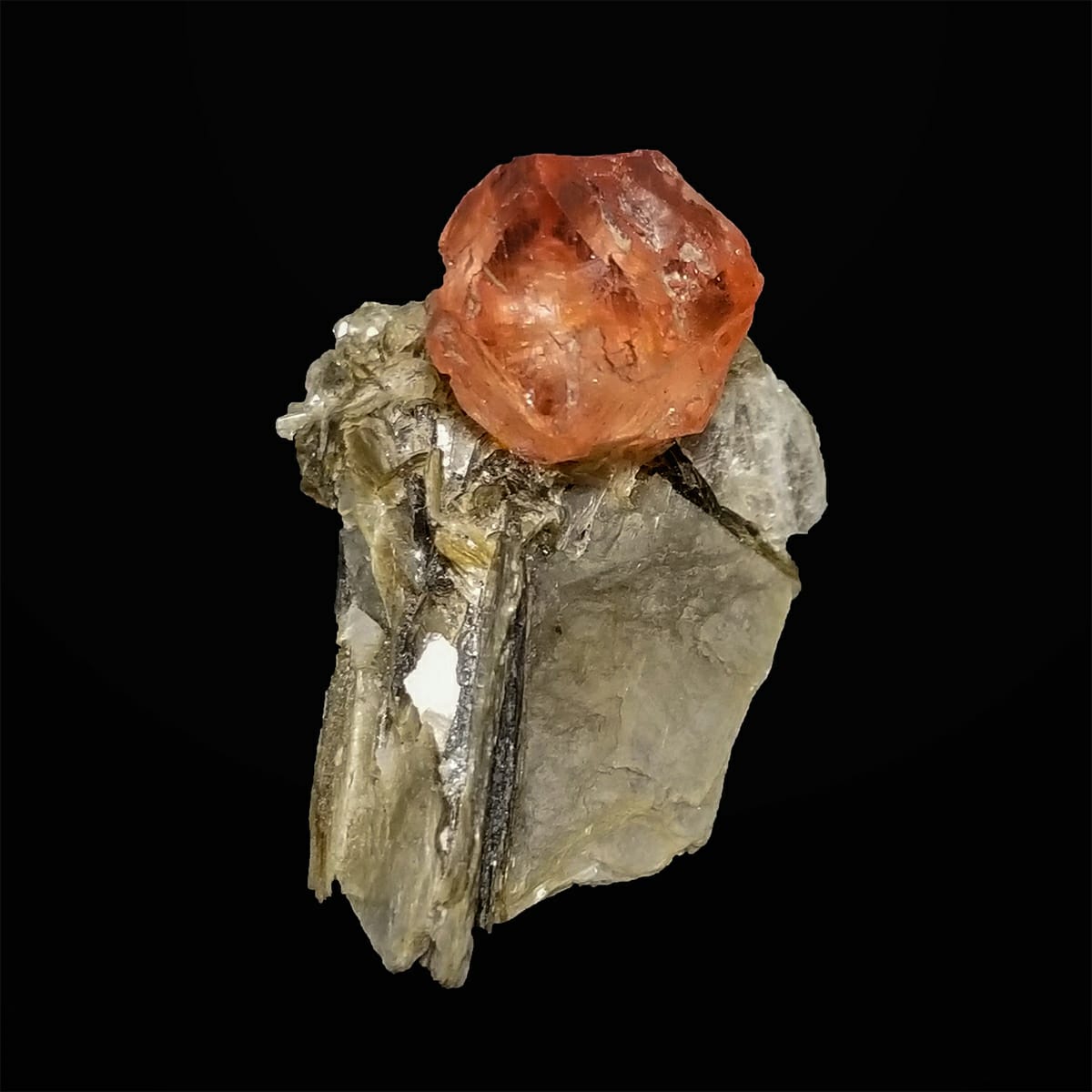  Pink Fluorite Perched on Muscovite black background at Gandhara Fine Minerals