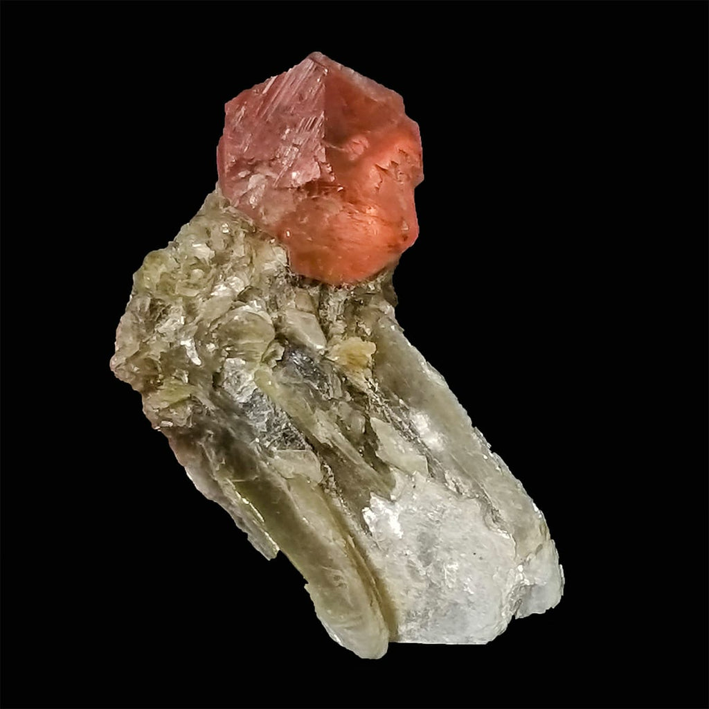 Pink Fluorite Perched on Muscovite on a black background at Gandhara Fine Minerals