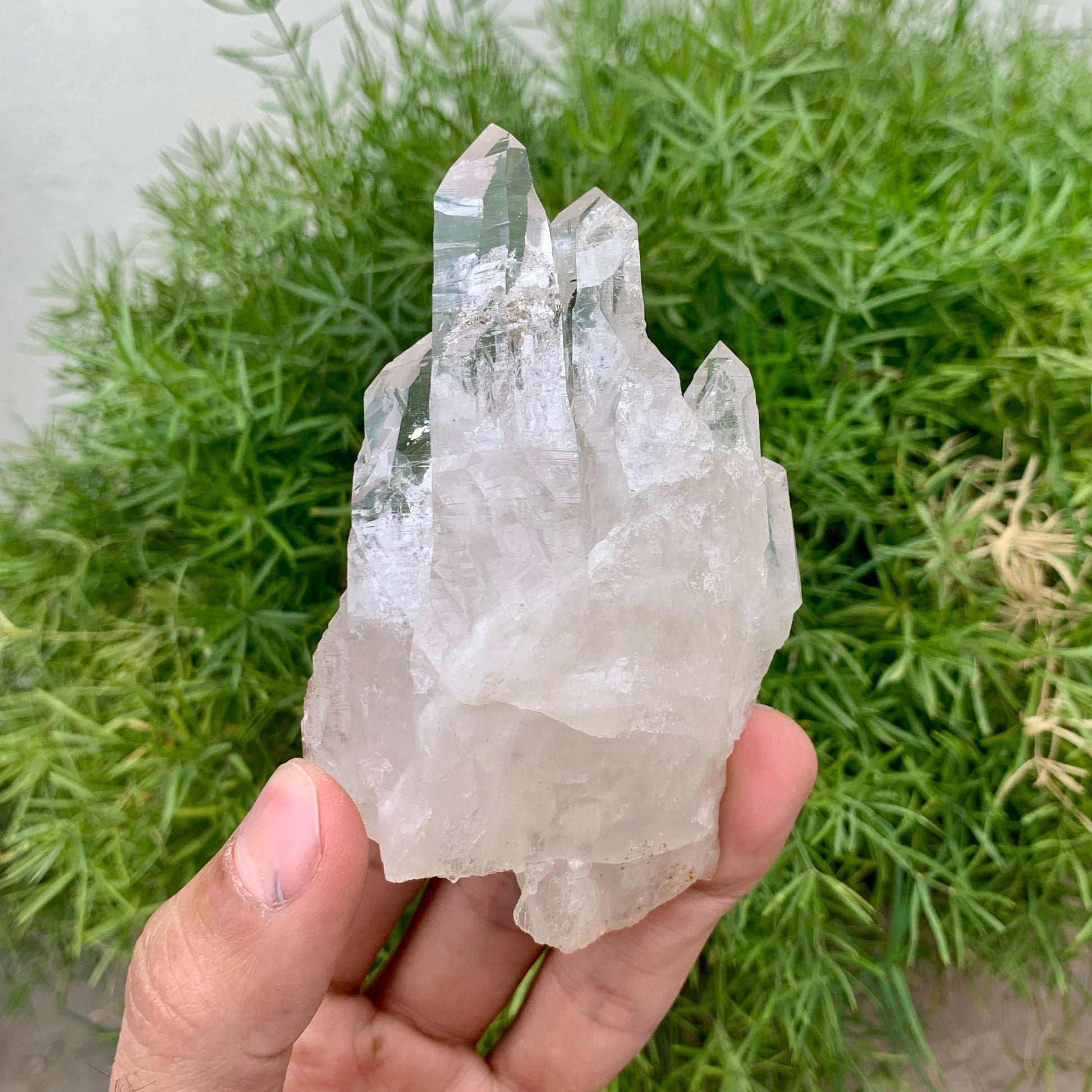 Beautiful Looking Elongated Quartz Crystals Shooting Out Of Quartz Matrix