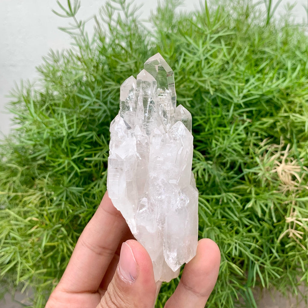 Beautiful Looking Elongated Quartz Crystals Shooting Out Of Quartz Matrix
