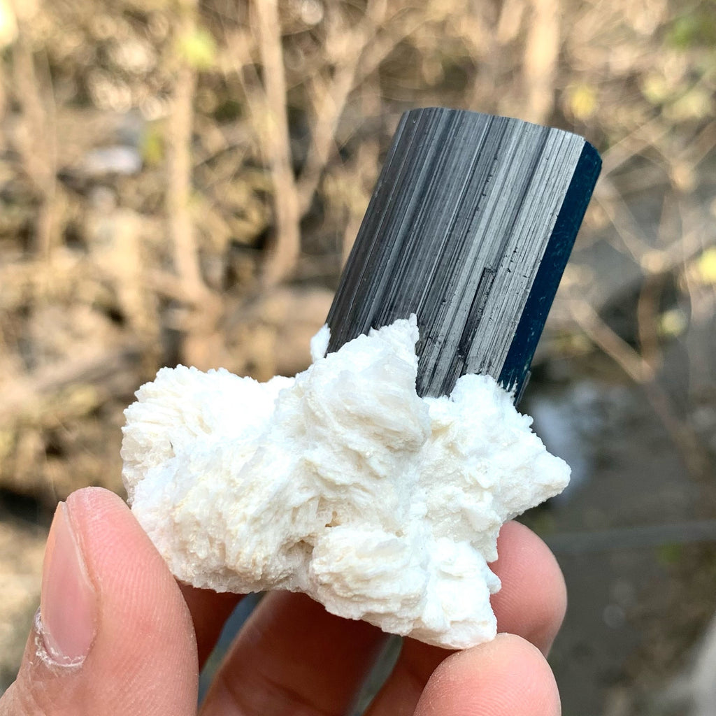 Beautiful Schorl Black Tourmaline With Milky White Cleavlandite