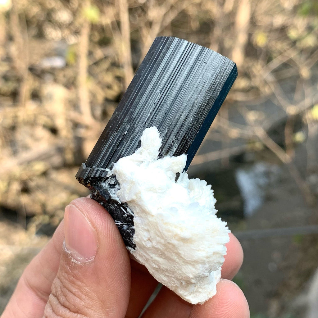 Beautiful Schorl Black Tourmaline With Milky White Cleavlandite