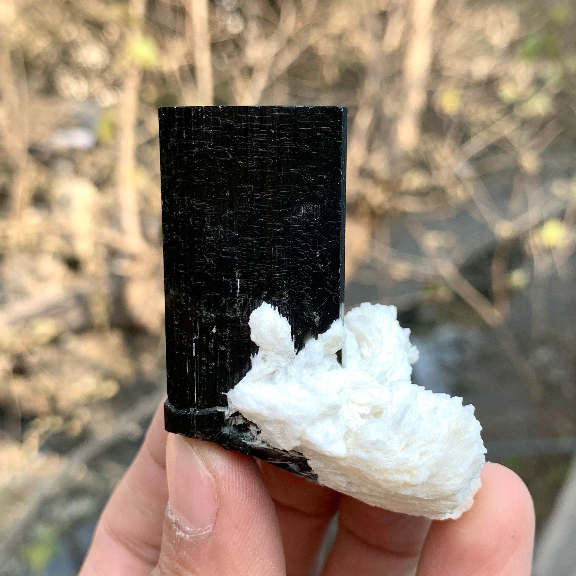 Beautiful Schorl Black Tourmaline With Milky White Cleavlandite