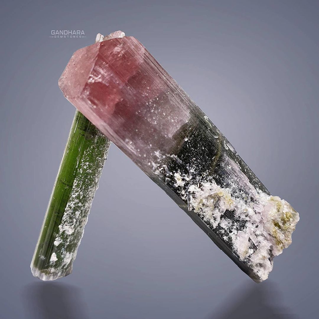 Bicolor Tourmaline Crystals Specimen with Albite