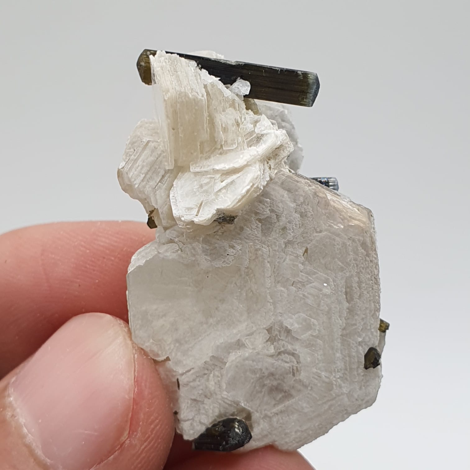 Bicolor Tourmaline Crystals Nicely Perched On Muscovite Mica