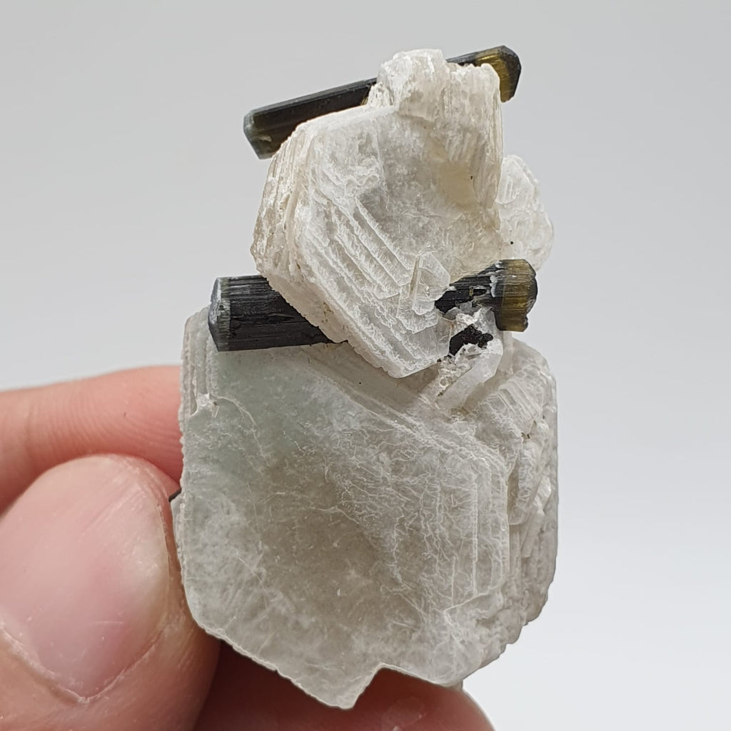 Bicolor Tourmaline Crystals Nicely Perched On Muscovite Mica
