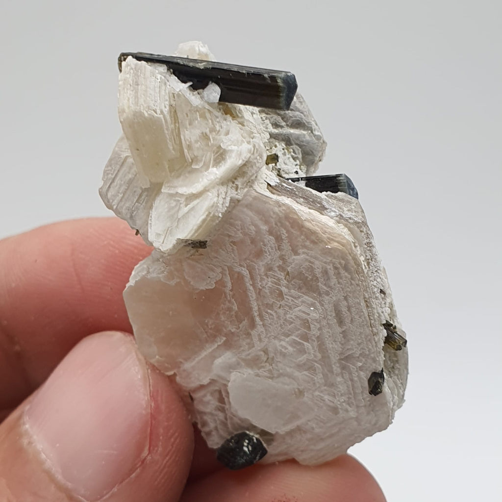Bicolor Tourmaline Crystals Nicely Perched On Muscovite Mica