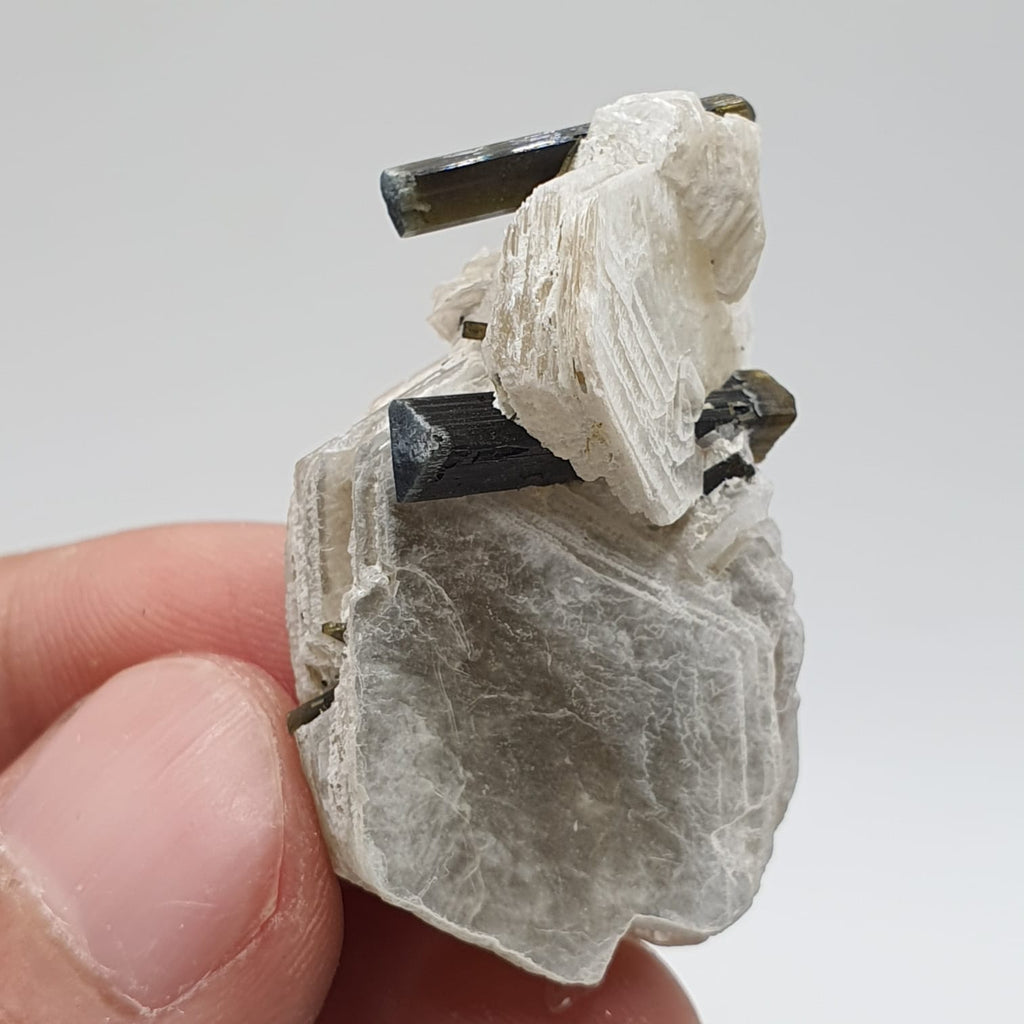 Bicolor Tourmaline Crystals Nicely Perched On Muscovite Mica