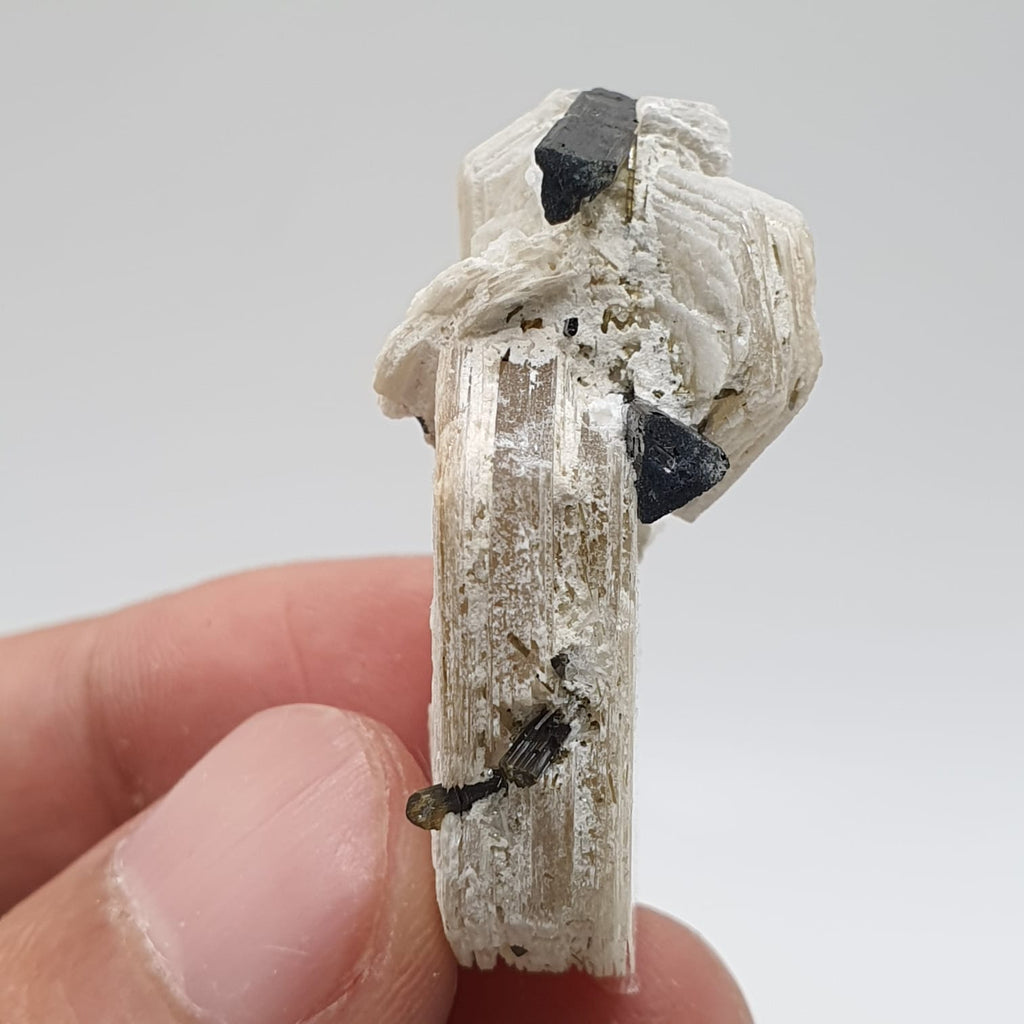 Bicolor Tourmaline Crystals Nicely Perched On Muscovite Mica