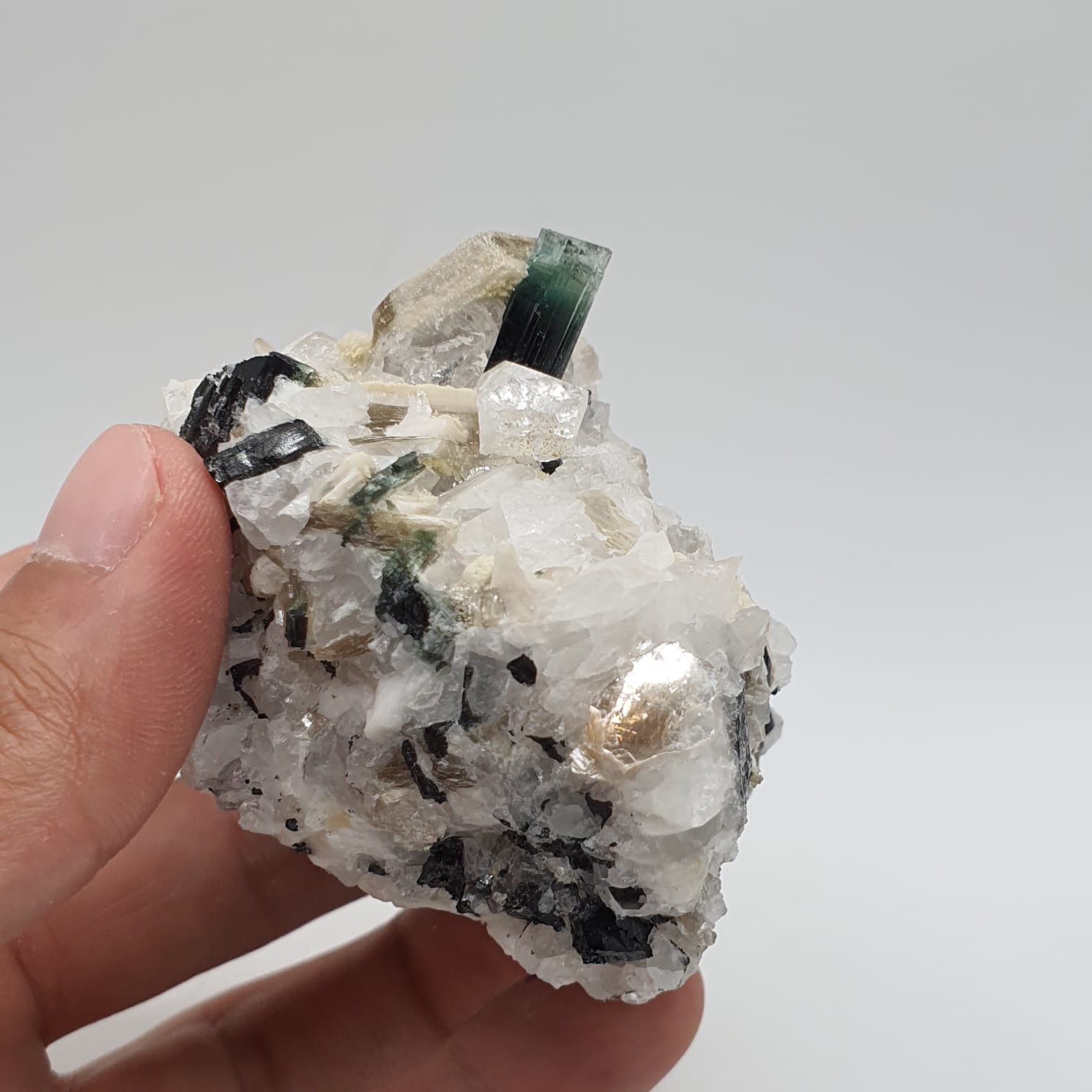Bicolor Tourmaline With Mint Green Cap On Albite With Mica And Garnet