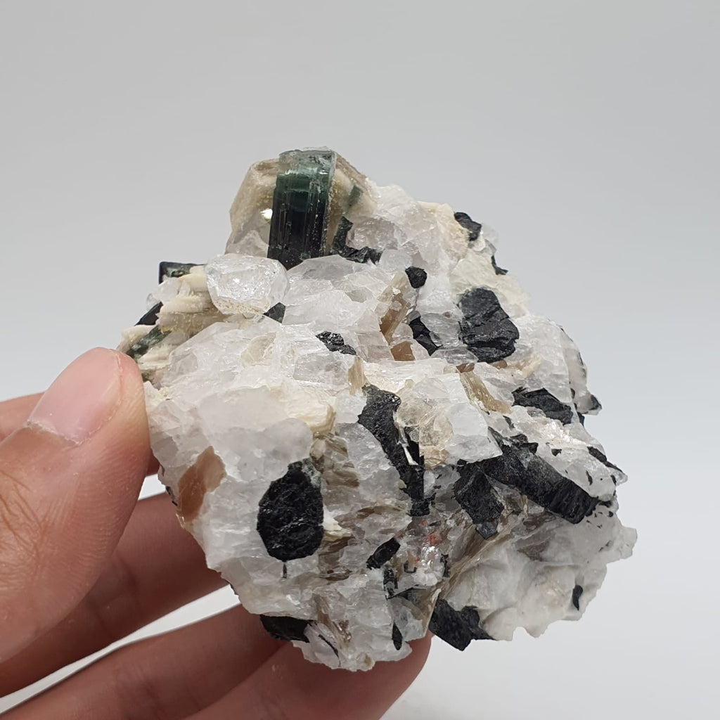 Bicolor Tourmaline With Mint Green Cap On Albite With Mica And Garnet