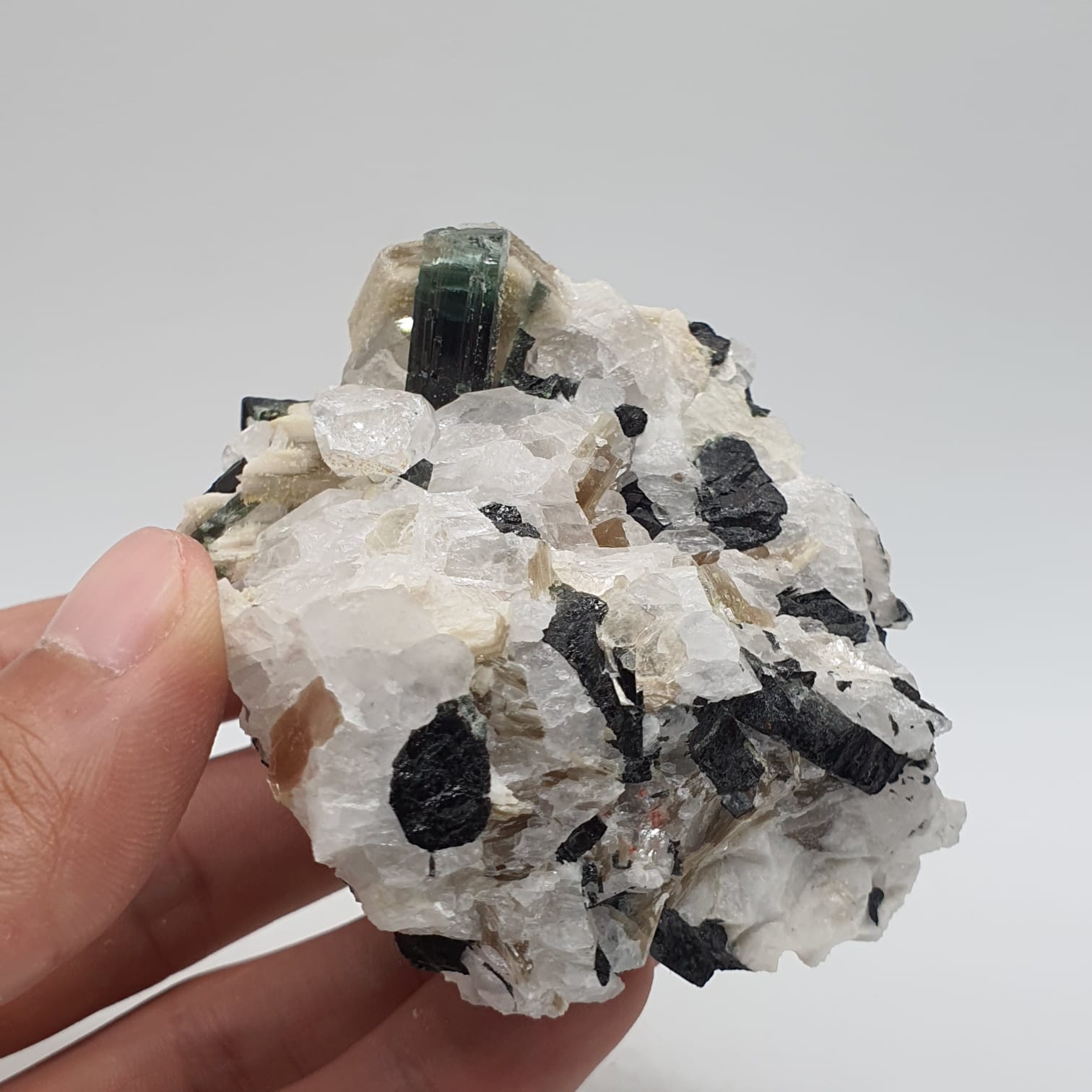 Bicolor Tourmaline With Mint Green Cap On Albite With Mica And Garnet