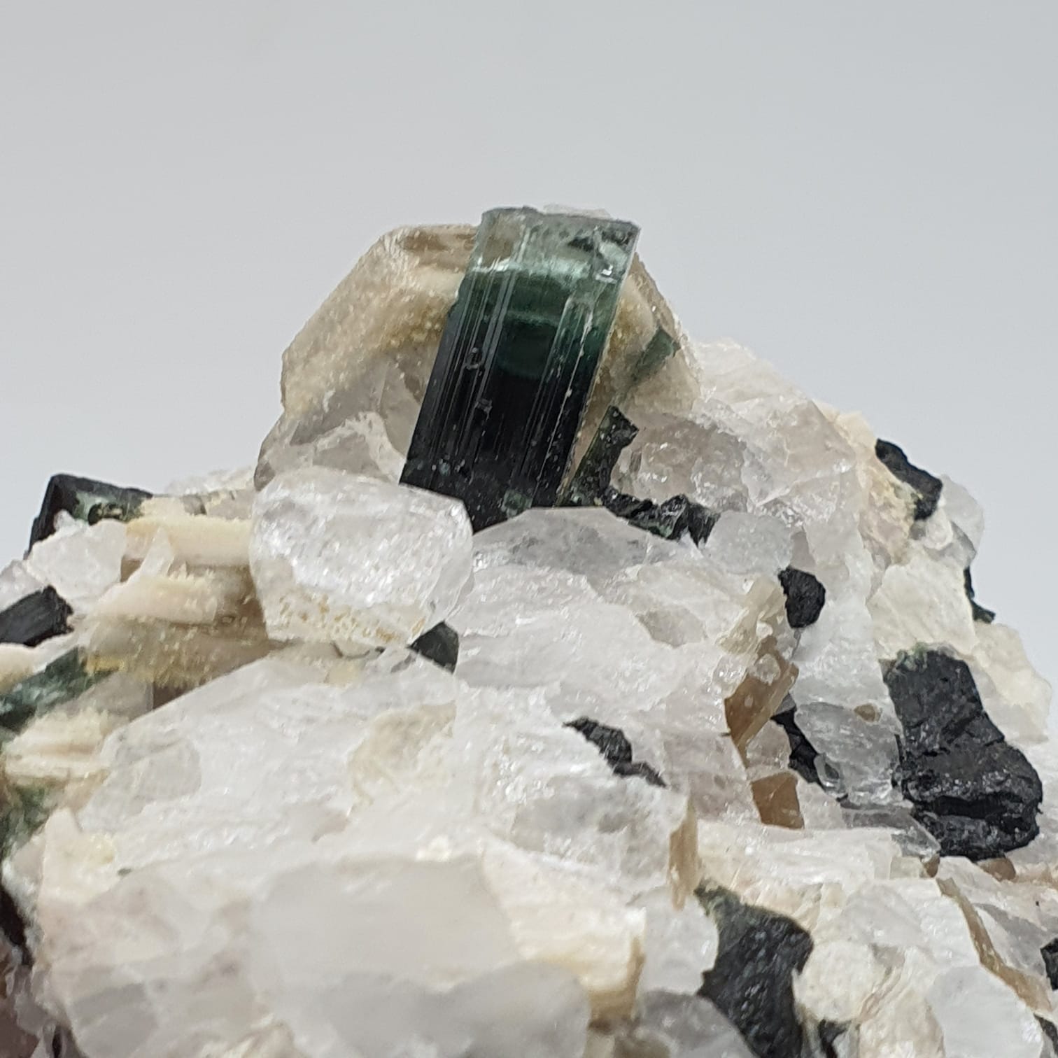 Bicolor Tourmaline With Mint Green Cap On Albite With Mica And Garnet