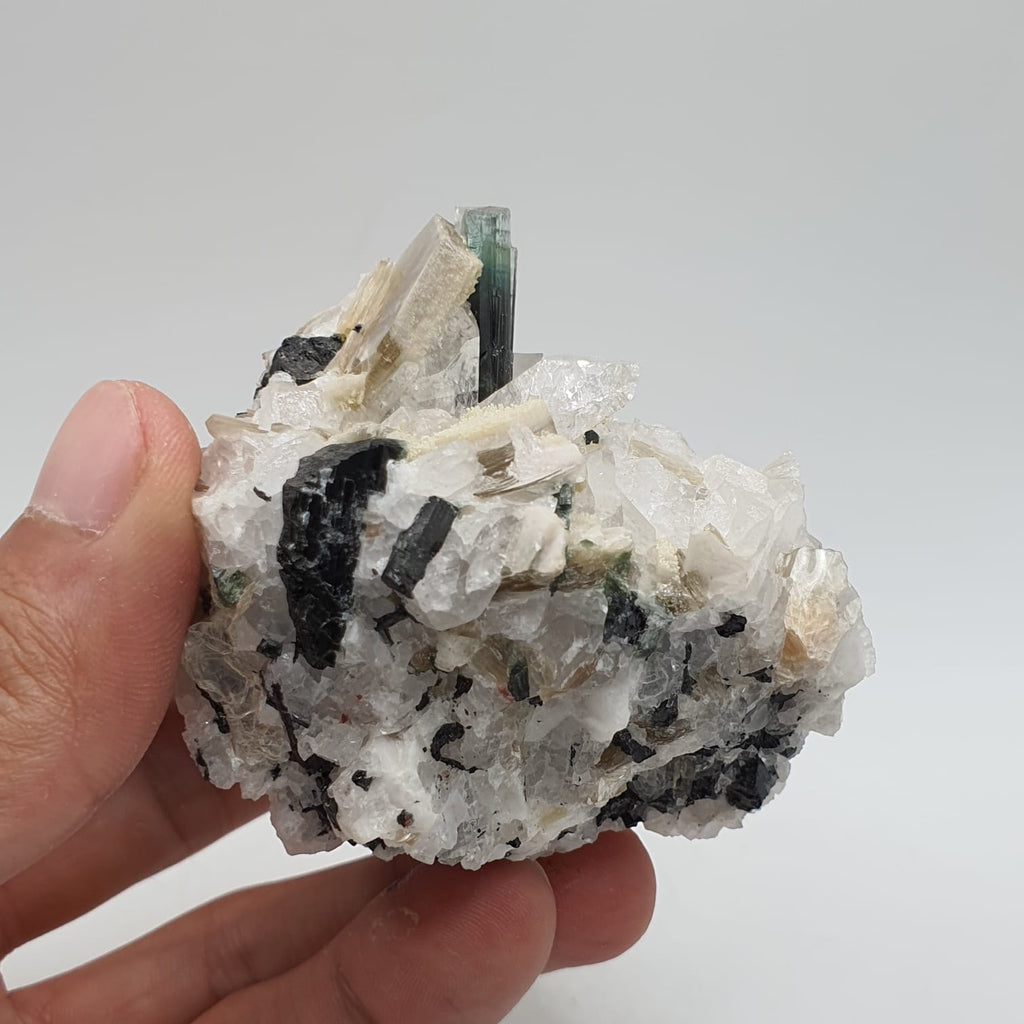 Bicolor Tourmaline With Mint Green Cap On Albite With Mica And Garnet