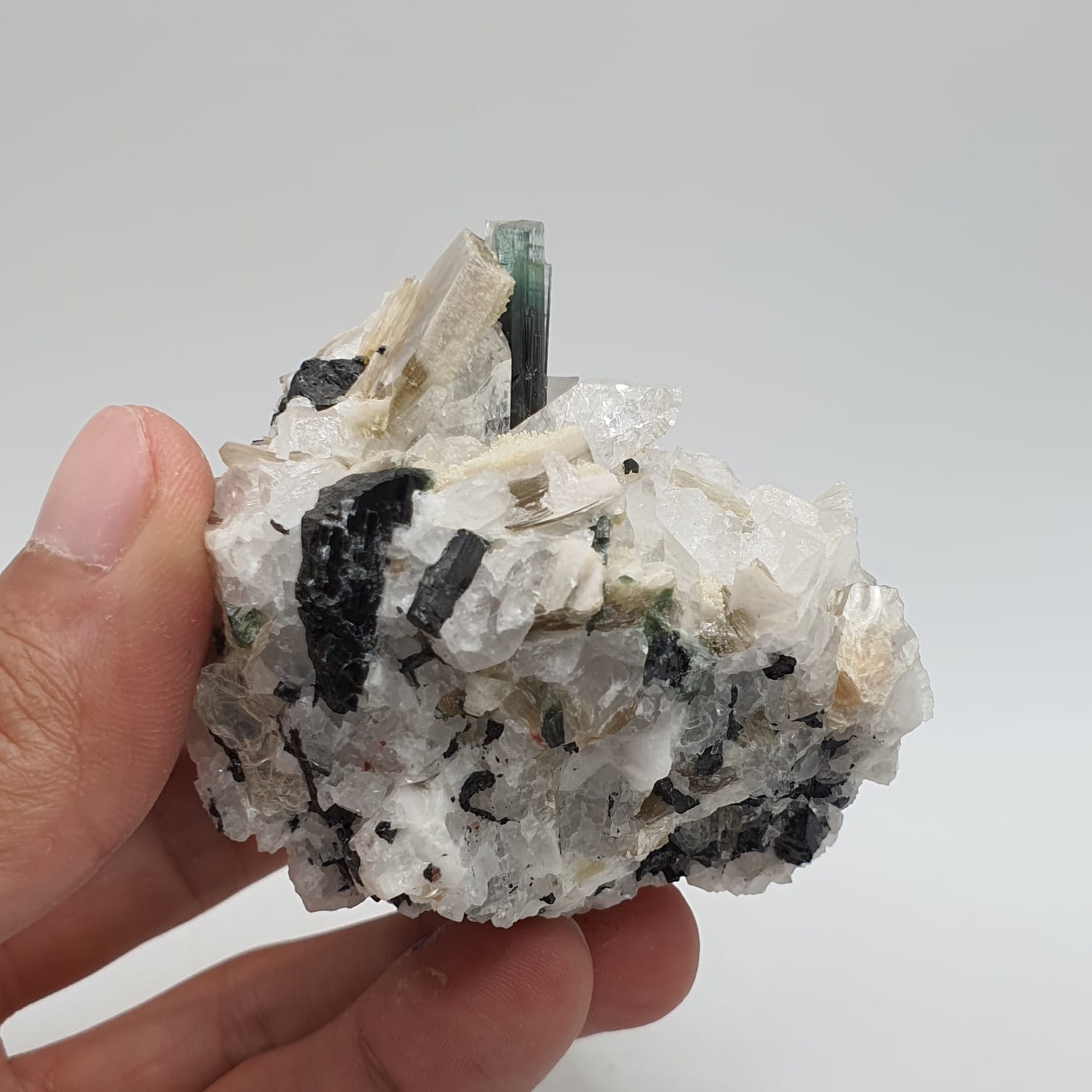 Bicolor Tourmaline With Mint Green Cap On Albite With Mica And Garnet