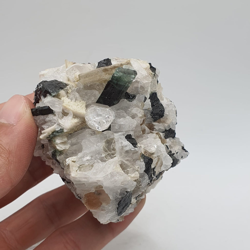 Bicolor Tourmaline With Mint Green Cap On Albite With Mica And Garnet