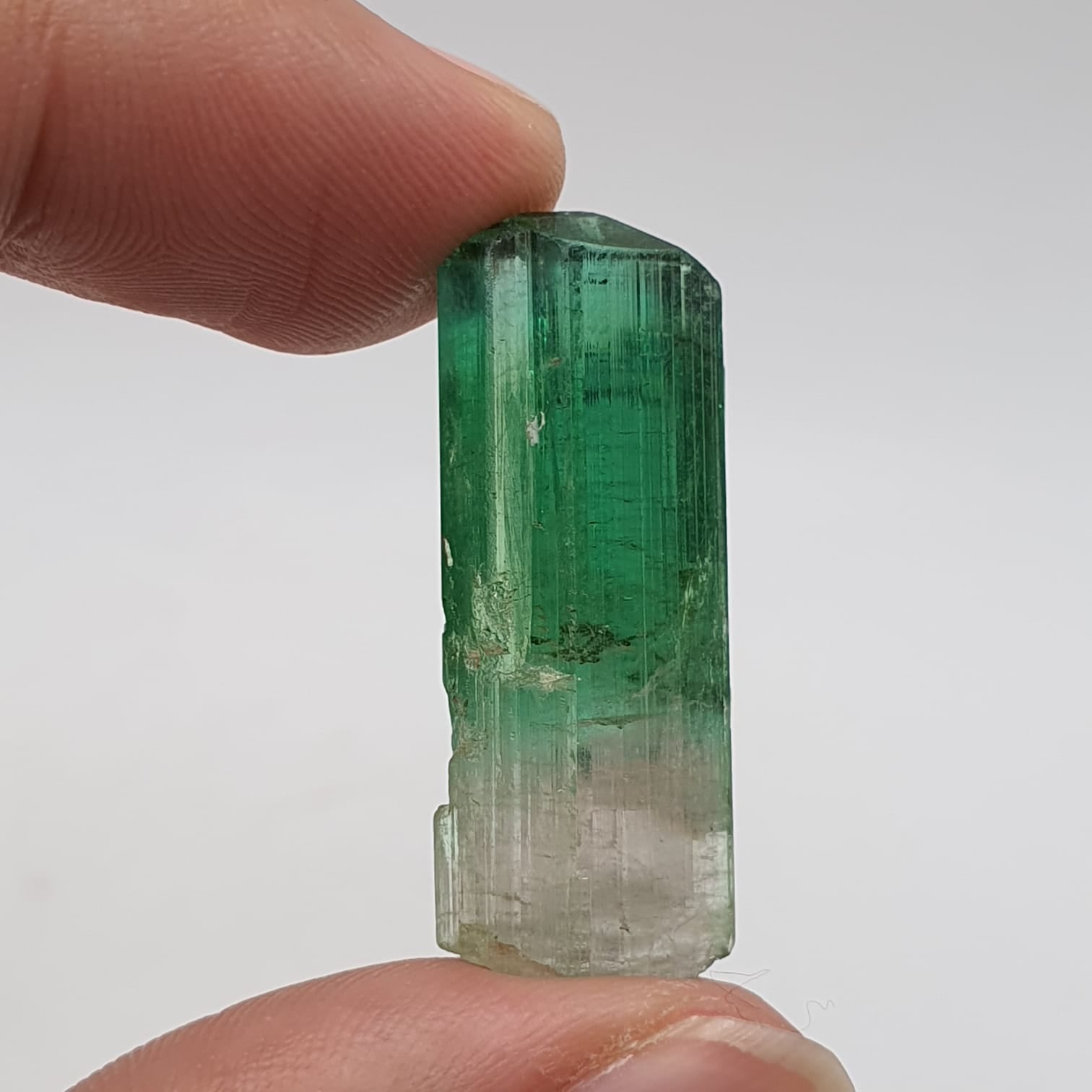 Bicolor Tourmaline Mineral Crystal