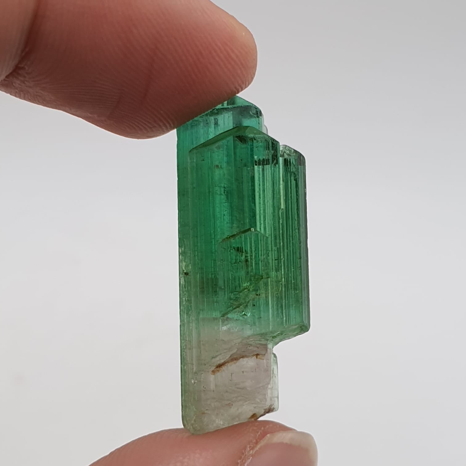 Bicolor Tourmaline Mineral Crystal
