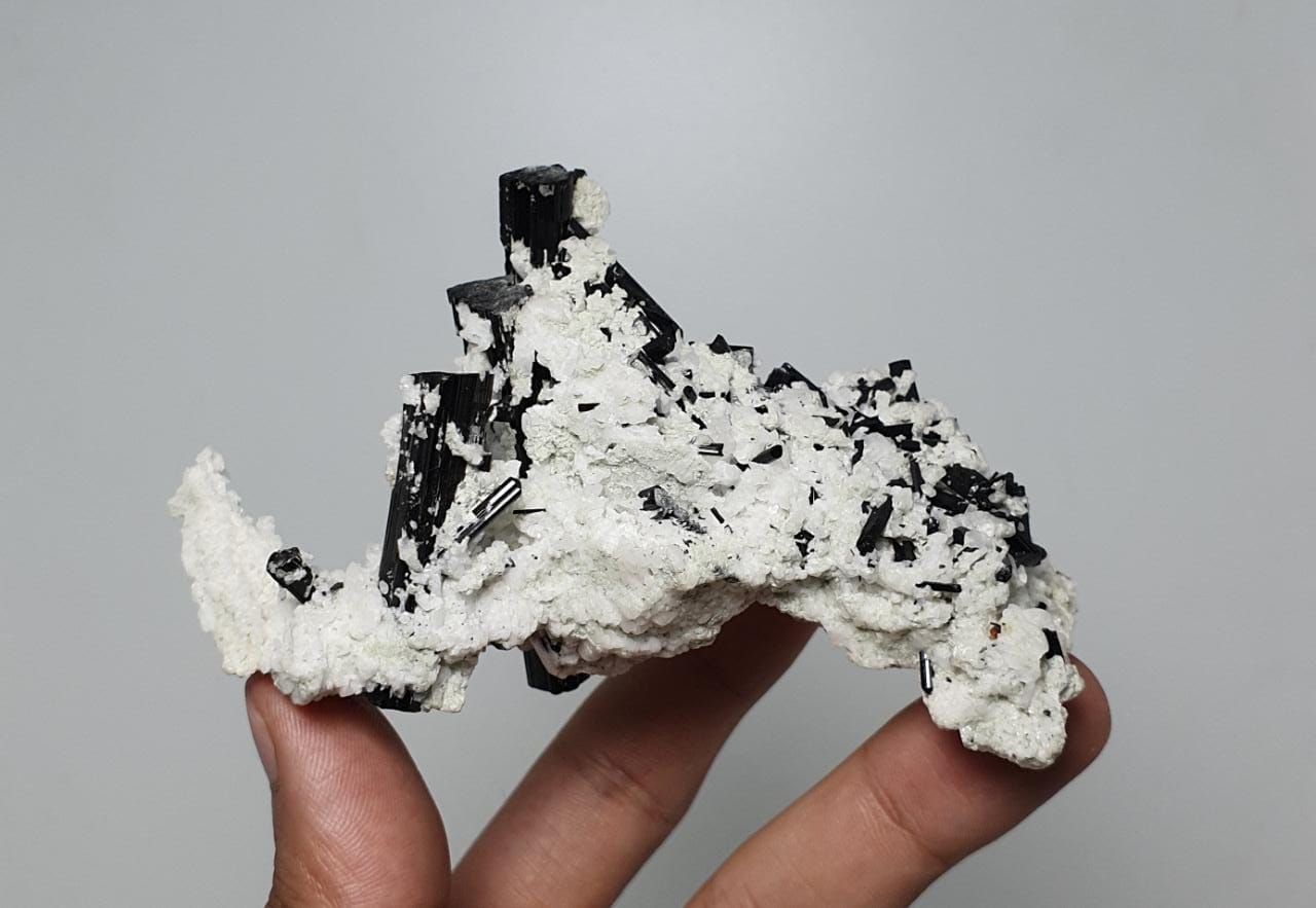 Black Tourmaline Crystals on Milky White Albite