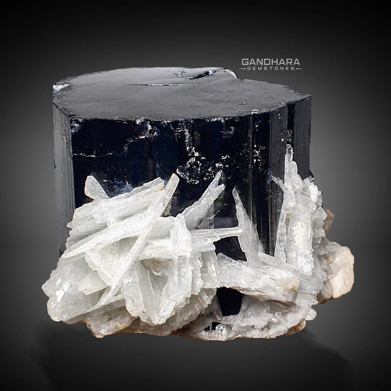 500 Grams Blue Cap Tourmaline with Milky White Cleavelandite