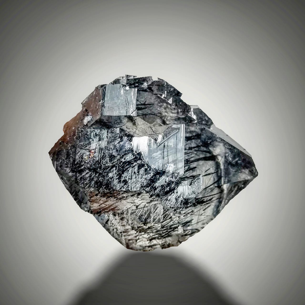  Blue Quartz with white background at Gandhara Fine Minerals 