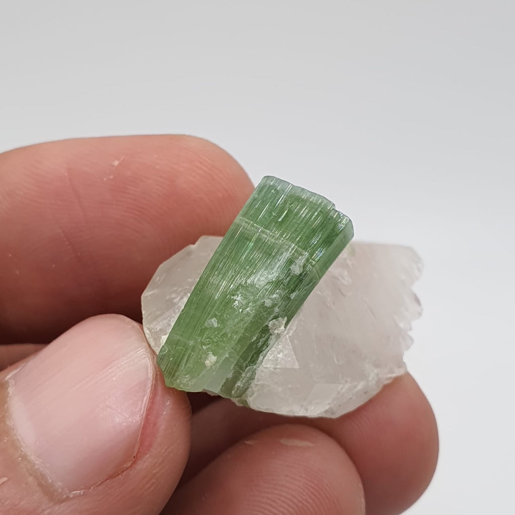 Blue Cap With Mint-Green Body Tourmaline On Quartz