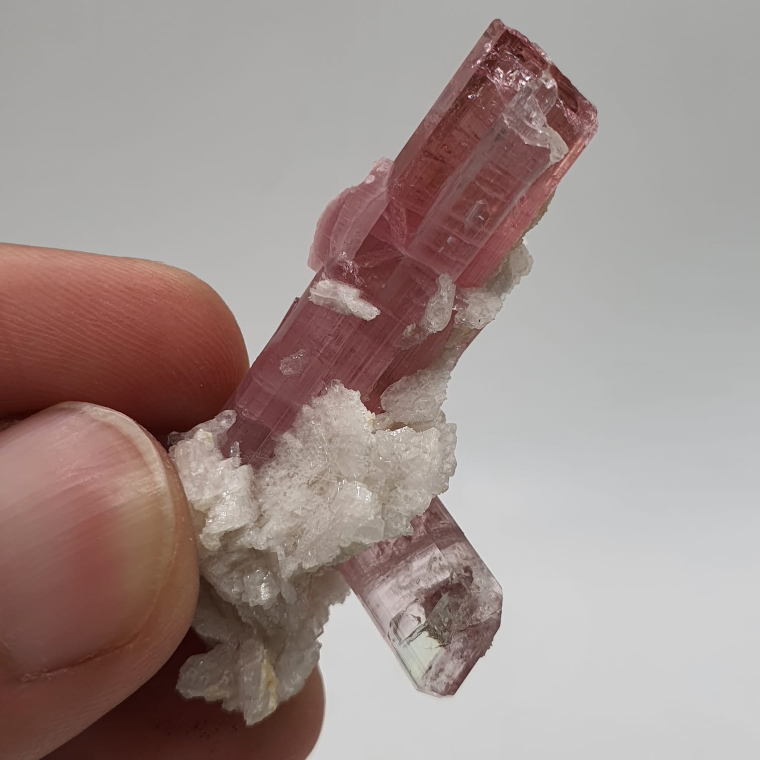 Bubble Gum Pink Tourmaline With Creamy White Cleavelandite