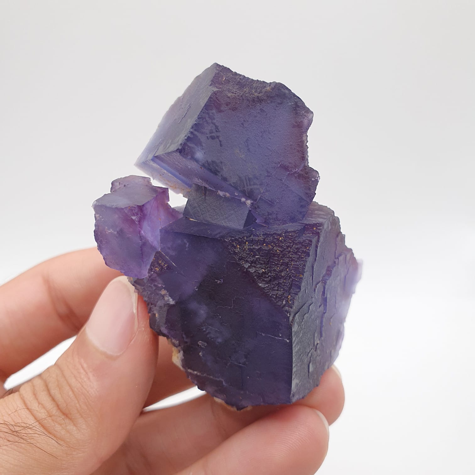 Colorful And Adorable Aggregate Of Fluorite Cubes