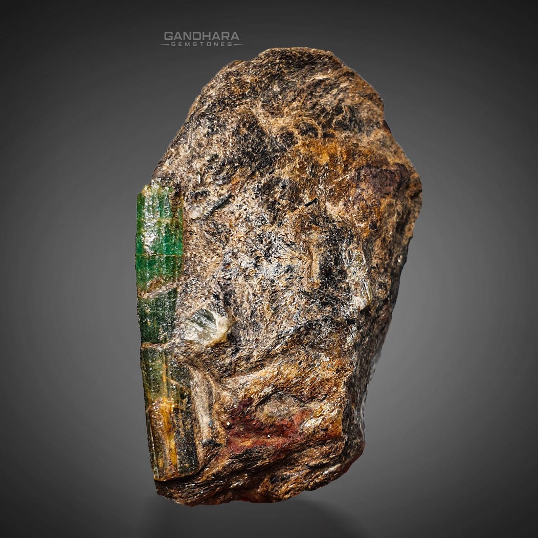 Buy 112 Grams Emerald Crystal on Sparkling Muscovite Matrix