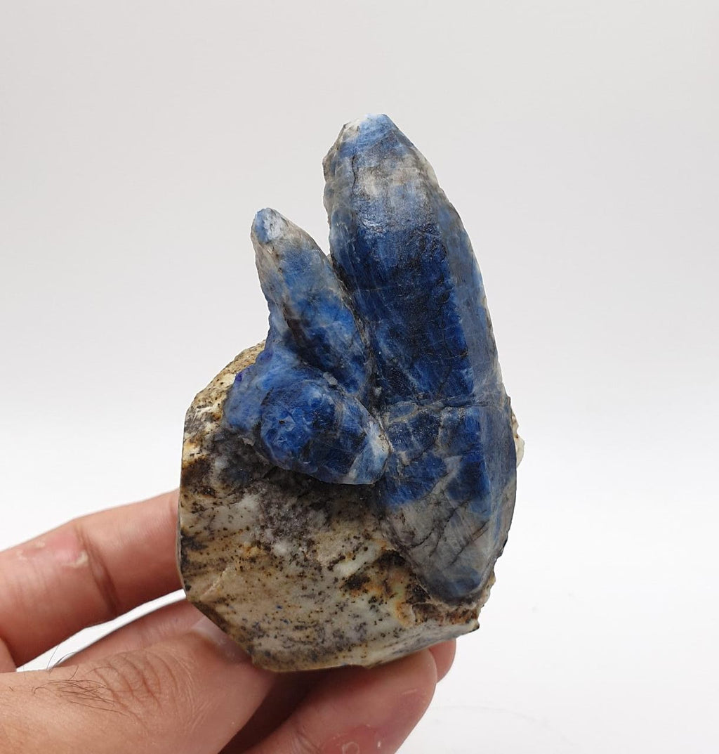 Elongated Afghanite Crystals Shooting Out of Matrix