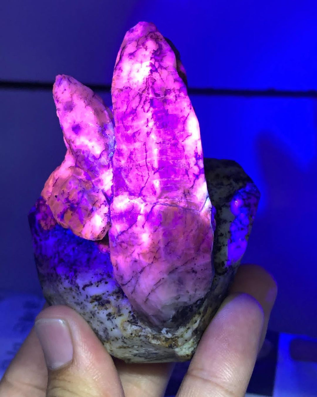 Elongated Afghanite Crystals Shooting Out of Matrix