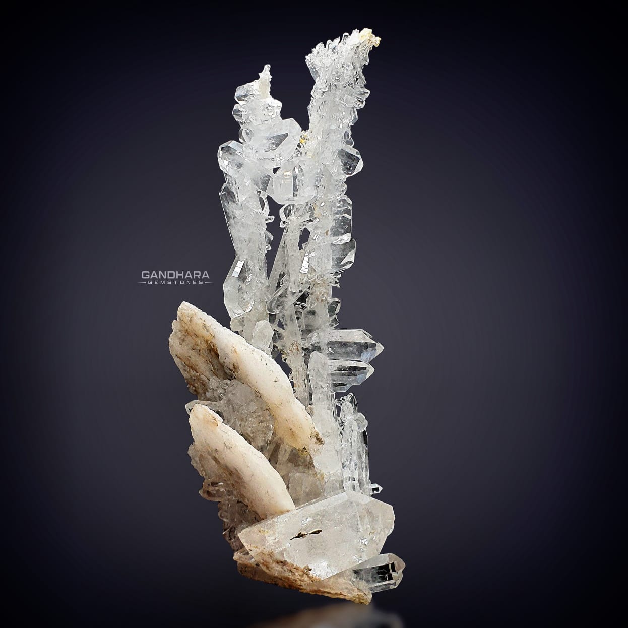 534 Grams Faden Quartz Crystals Cluster on Calcite
