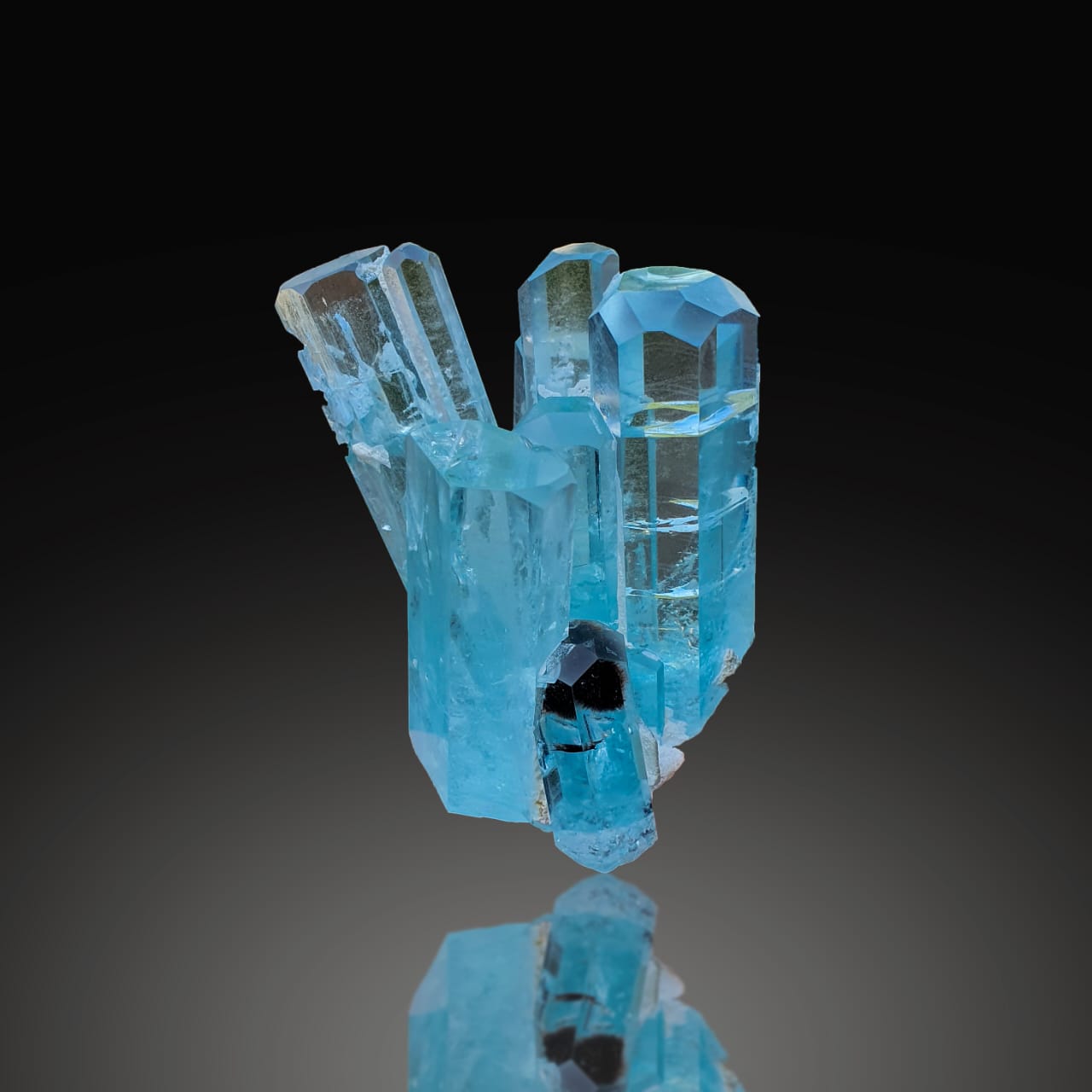 Aquamarine Cluster  with a dark background at Gandhara Fine Minerals