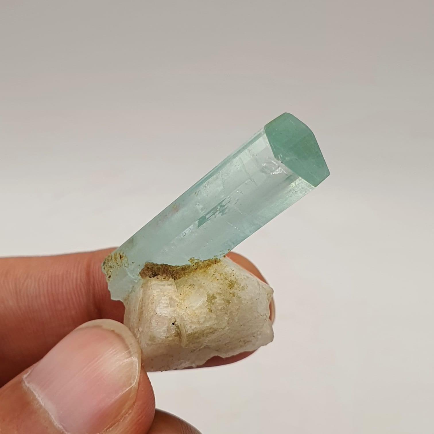 Gem Aquamarine Crystal Nicely Positioned On White Albite