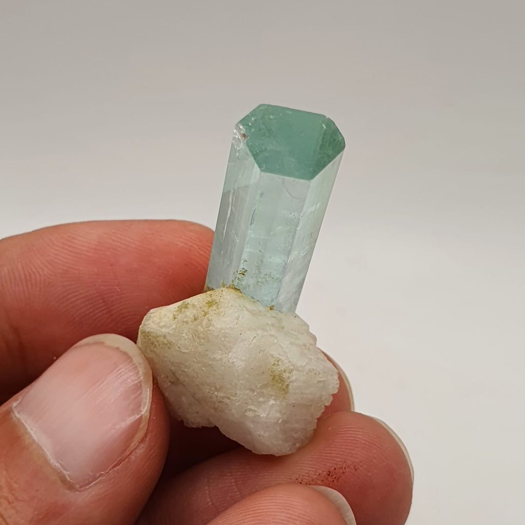 Gem Aquamarine Crystal Nicely Positioned On White Albite