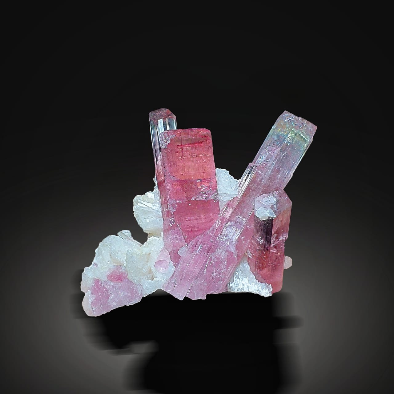 Pink Tourmaline Crystals with White Albite with black background at  Gandhara Fine Minerals