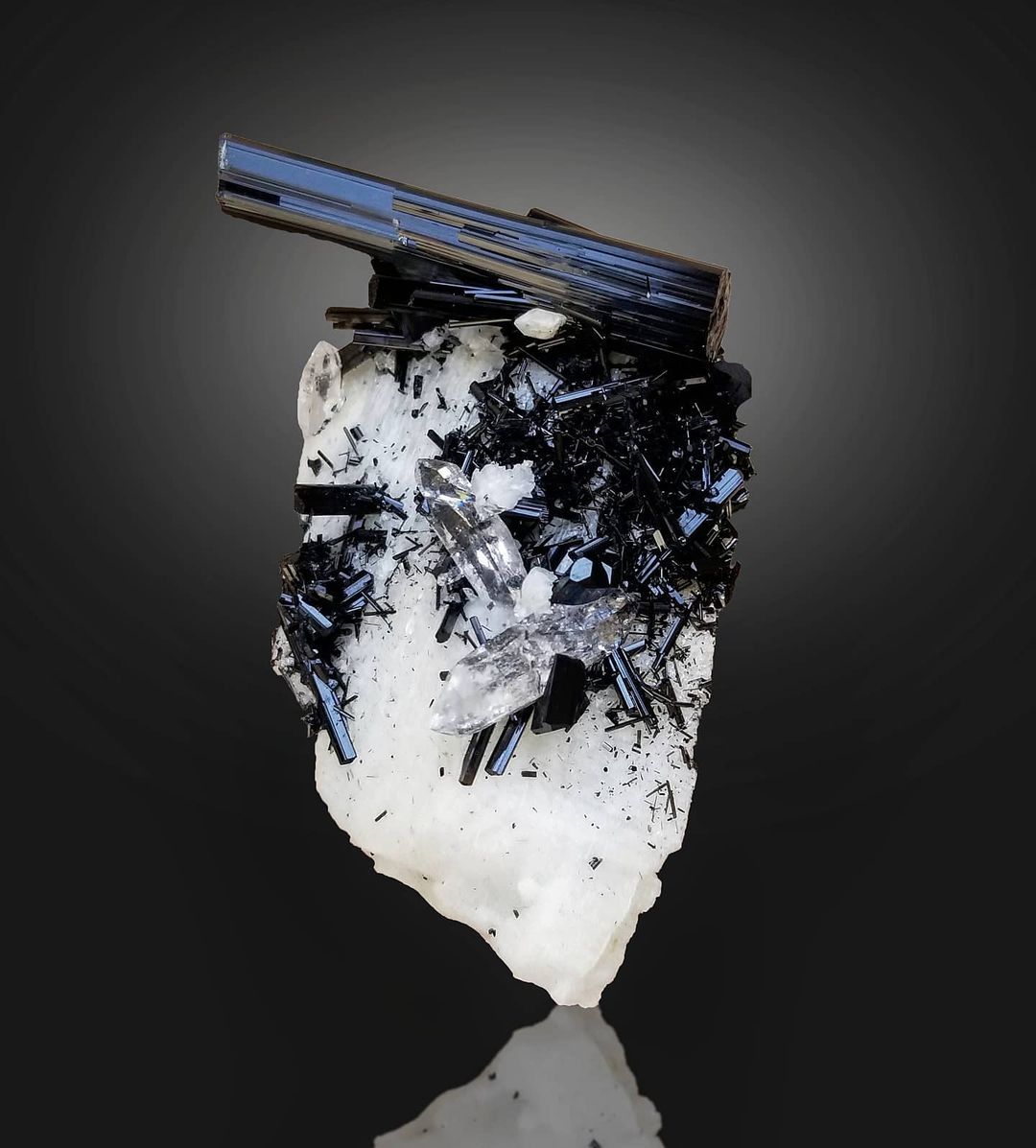 Black Tourmaline Crystals Perched on Albite with Quartz on black background at Gandhara Fine Minerals