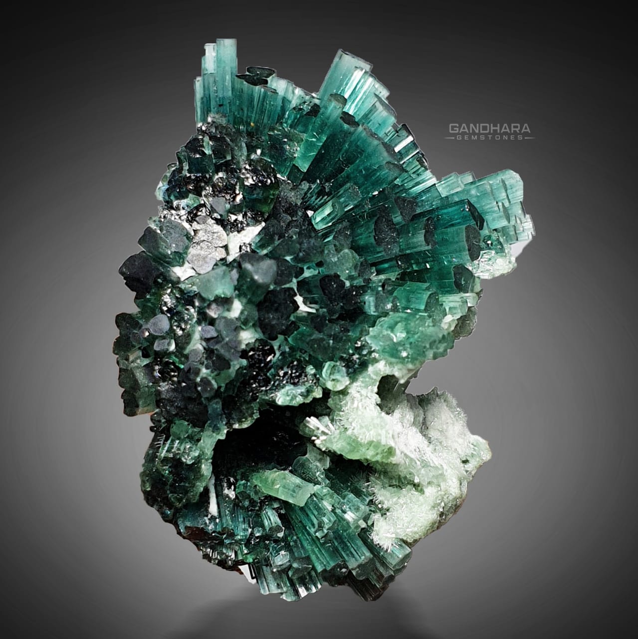 Gorgeous Indicolite Tourmaline Cluster with gray background at Gandhara Fine Minerals 
