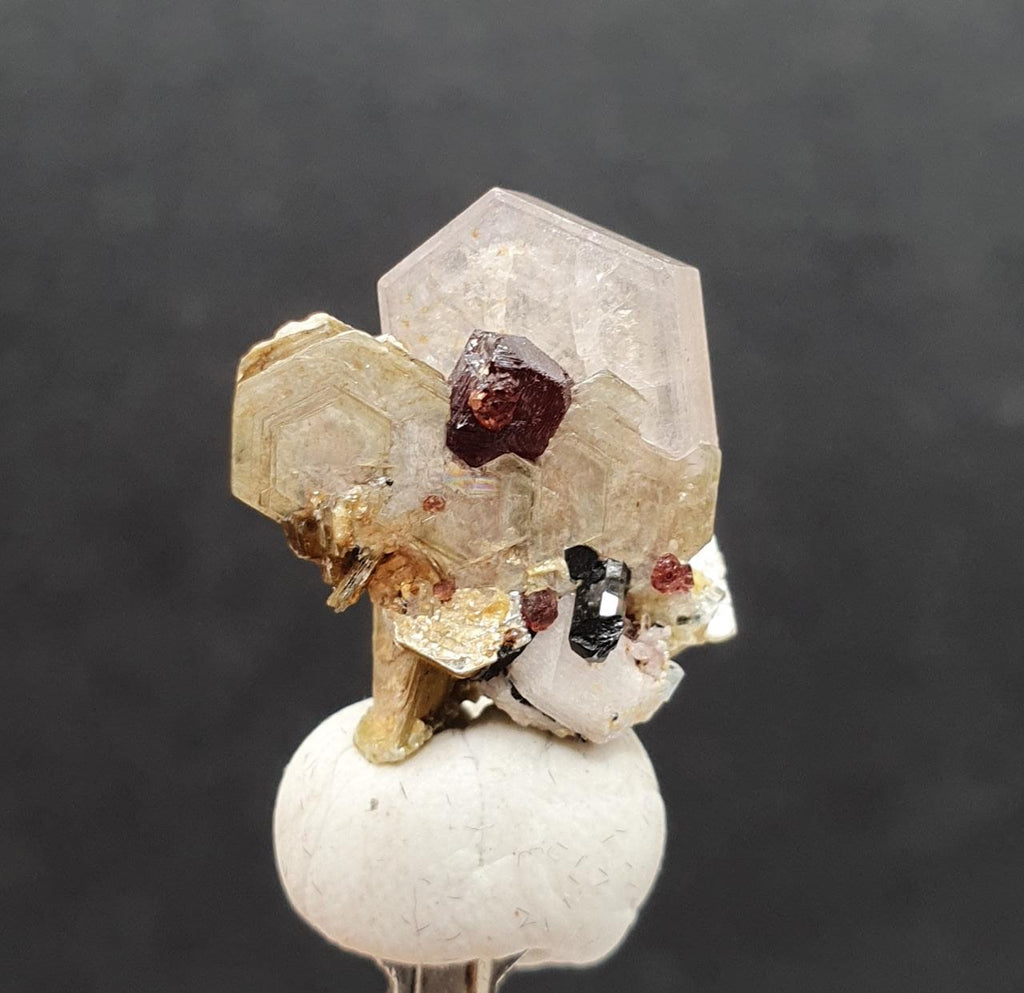 Gorgeous Combination Piece Of Pink Apatite with Garnet, Muscovite, Schorl And Albite