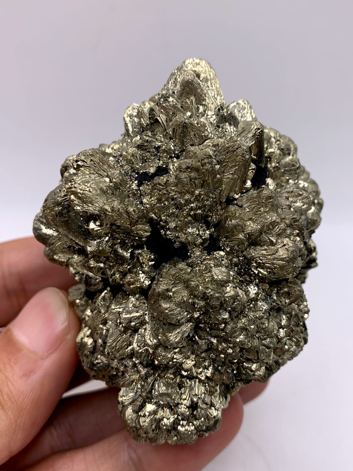 Gorgeous Dendritic Marcasite With Magnificent Golden Metallic luster