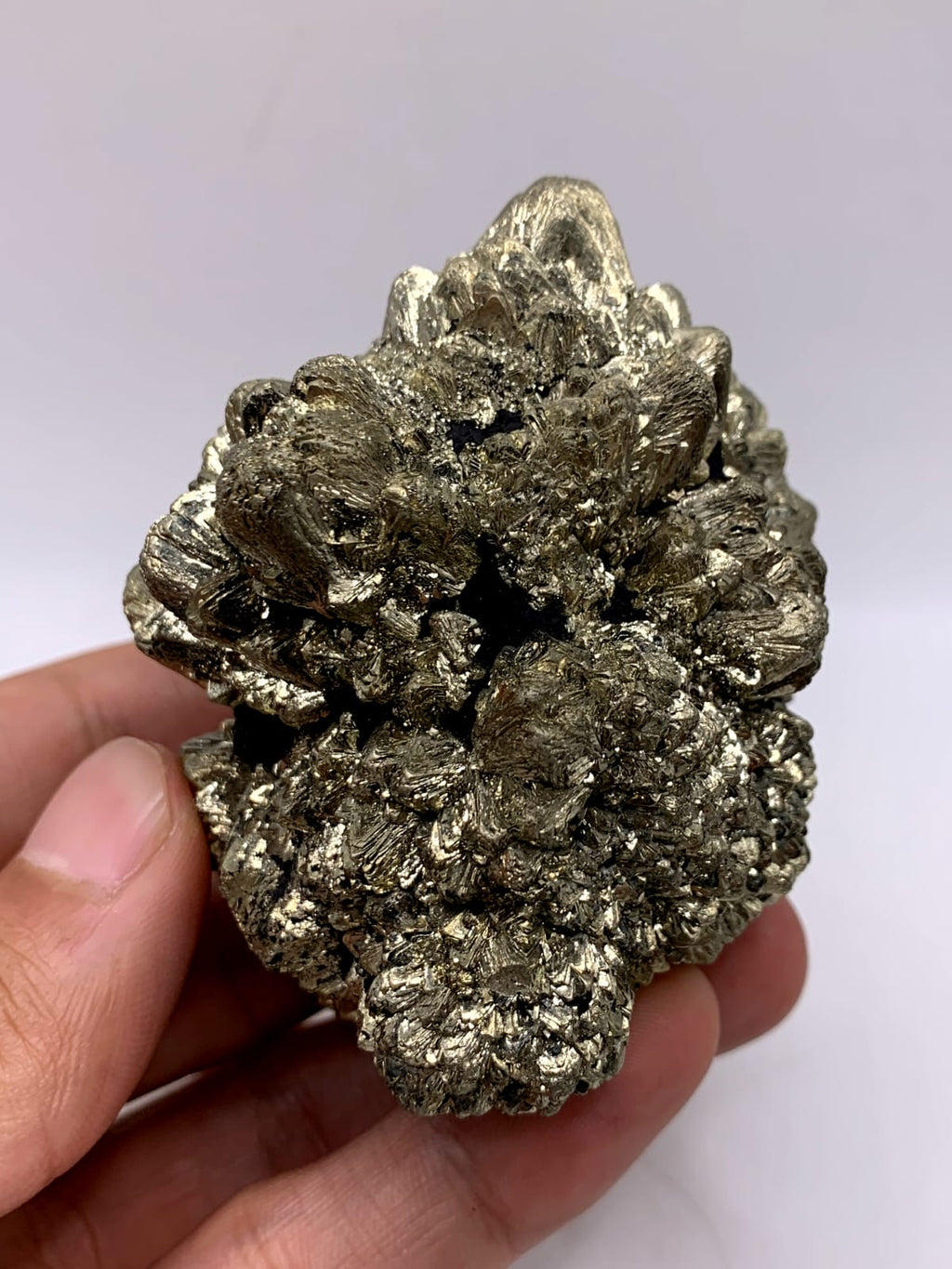 Gorgeous Dendritic Marcasite With Magnificent Golden Metallic luster