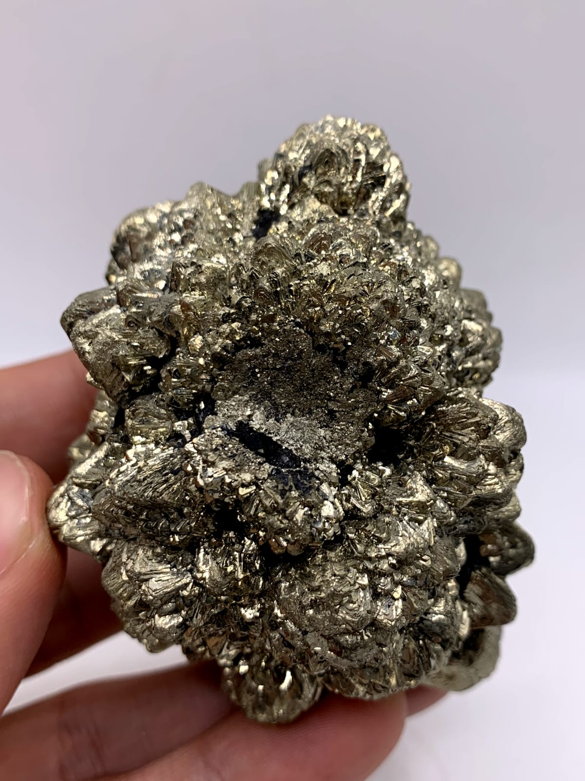 Gorgeous Dendritic Marcasite With Magnificent Golden Metallic luster