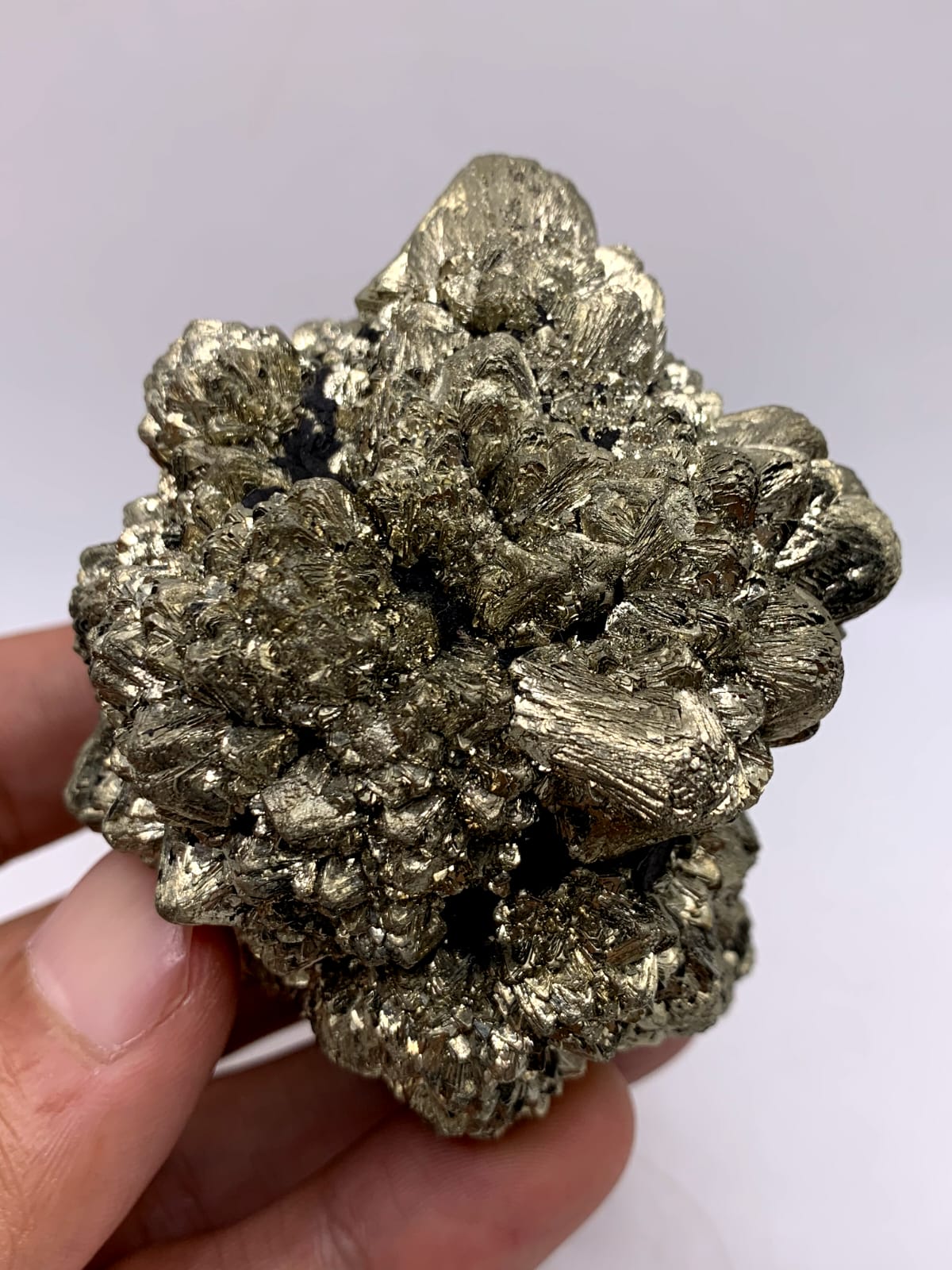 Gorgeous Dendritic Marcasite With Magnificent Golden Metallic luster