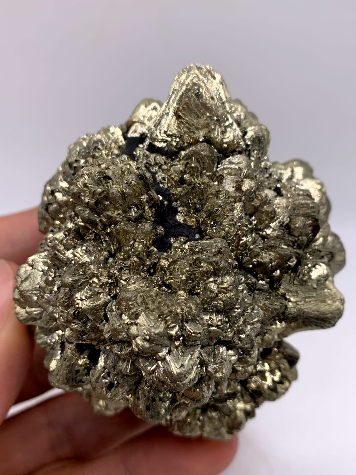 Gorgeous Dendritic Marcasite With Magnificent Golden Metallic luster