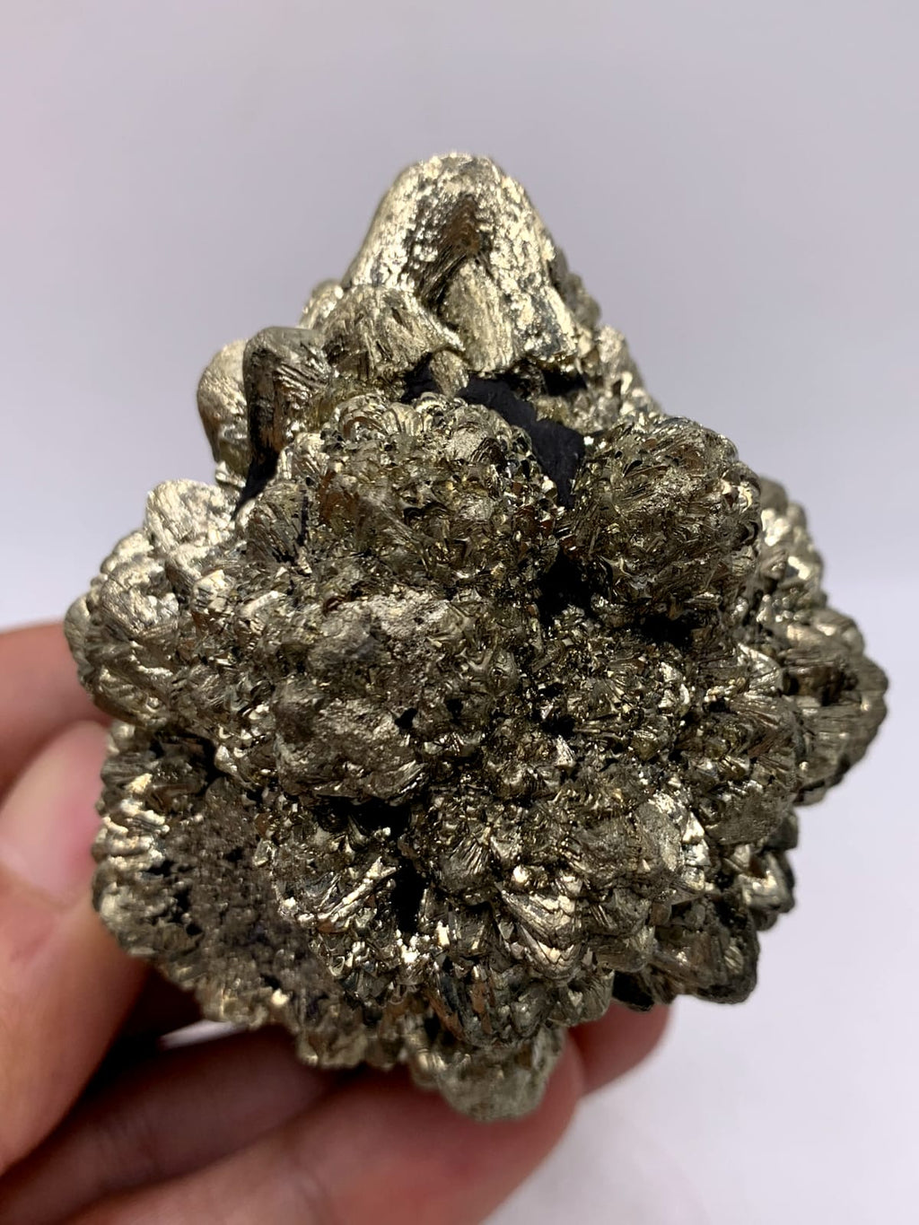 Gorgeous Dendritic Marcasite With Magnificent Golden Metallic luster