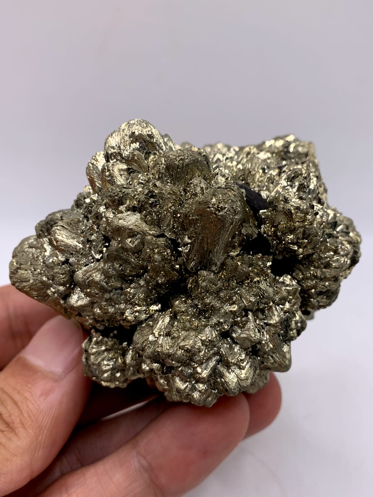 Gorgeous Dendritic Marcasite With Magnificent Golden Metallic luster