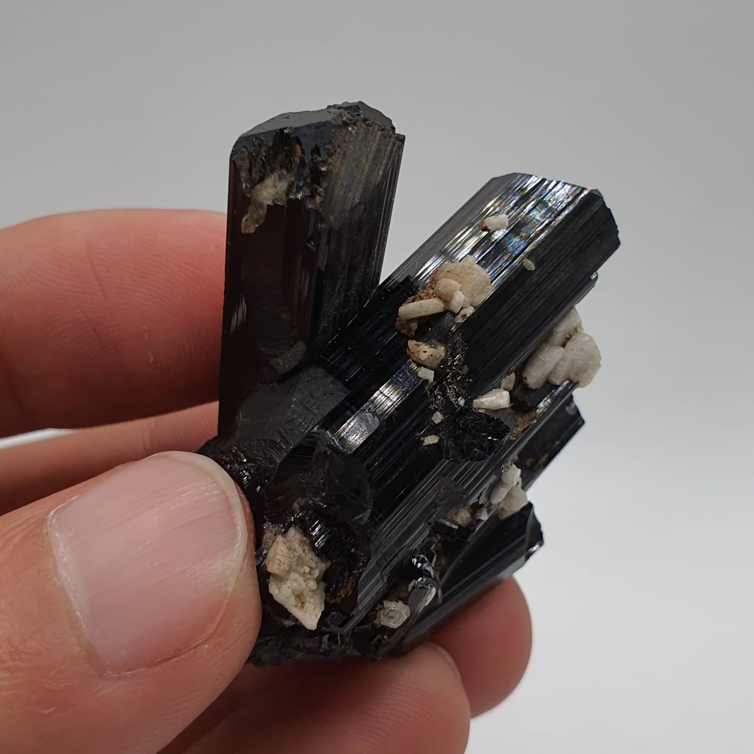 Gorgeous Intergrown Schorl Aka Black Tourmaline Crystals