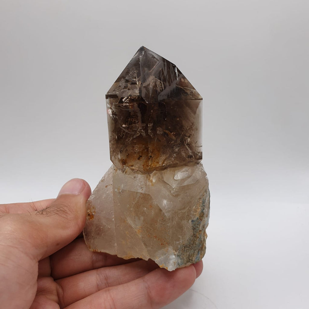 Gorgeous Scepter Smoky Quartz